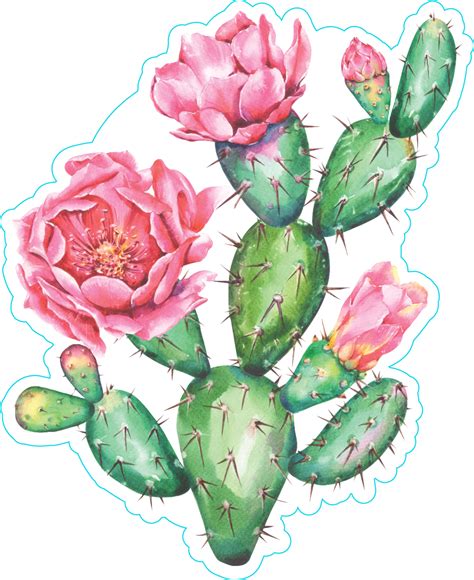 Watercolor Cactus With Beautiful Pink Flowers Sticker