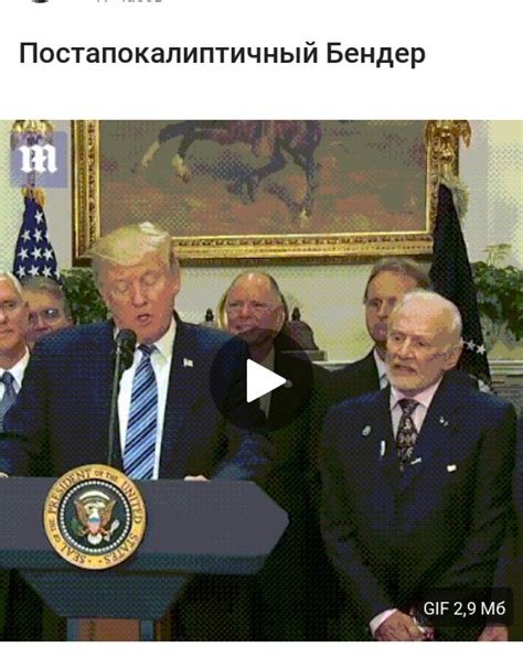 Трамп вездесущ | Пикабу