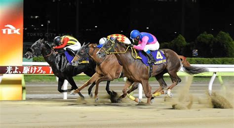 【地方競馬】帝王賞jpn1 メイショウハリオが史上初の連覇達成！鼻、頭差の歴史的な大激戦を制したうま屋デイリースポーツ Online