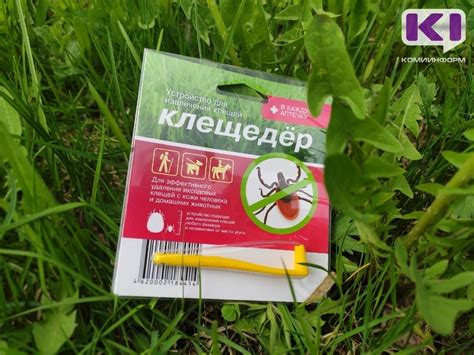 Фото укуса клеща через неделю (много фото) - artshots.ru