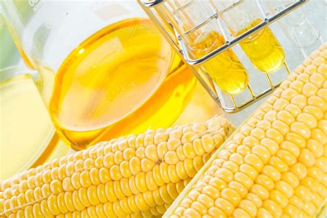 Corn Syrup At Best Price In India