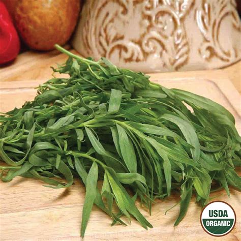 How to grow tarragon - all you need to know for success | Homes and Gardens