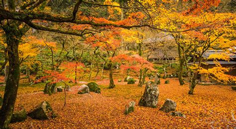 Dazaifu - Japan’s Most Spectacular Views in Autumn | hisgo.com