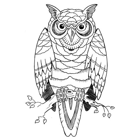 Desenho De Corujas Para Colorir - 9