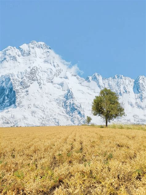 Berge Feld Landschaft Kostenloses Foto Auf Pixabay Pixabay