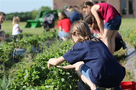 Agritourism boosts farm income, rural communities - Texas Farm Bureau