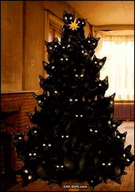 Christmas Cat  • Omg 35 Flashing Black Cats In A Christmas Tree