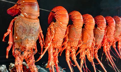 How Lobsters Got a Marketing Makeover – Braithwaite Communications