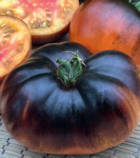 Высокорослые сорта томатов Янтарная Галактика l Русские Семена ...