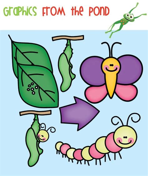 Caterpillar Butterfly Clip Art