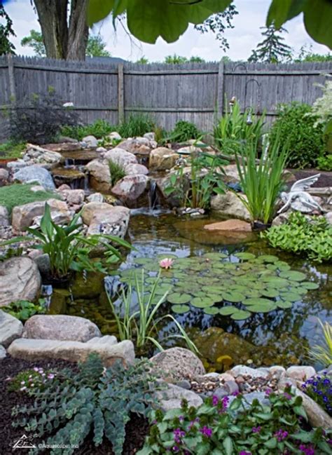 7 Tips For Planting Pond Plants Around Your Pond