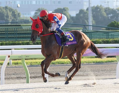 【フェブラリーs】スピーディキック昨年6着の雪辱へ「すべてがイメージ通り」と藤原智師 競馬写真ニュース 日刊スポーツ