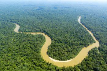 A Floresta Amazônica É A Maior Floresta Tropical Do Mundo - Floresta amazônica: maior floresta tropical do mundo - Toda Matéria