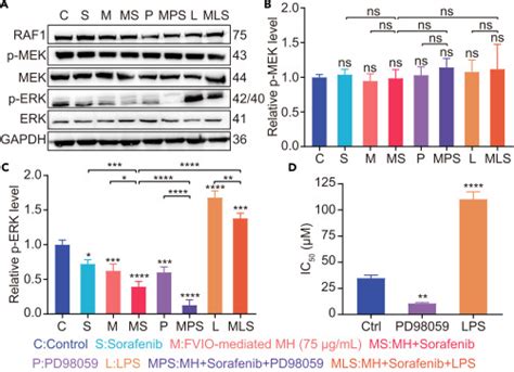 Intracellular Magnetic Hyperthermia Reverses Sorafenib Resistance In