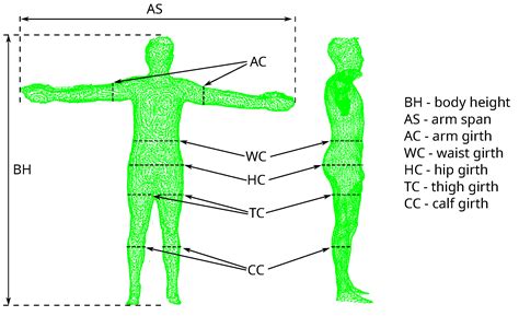 Sensors Free Full Text System For Estimation Of Human