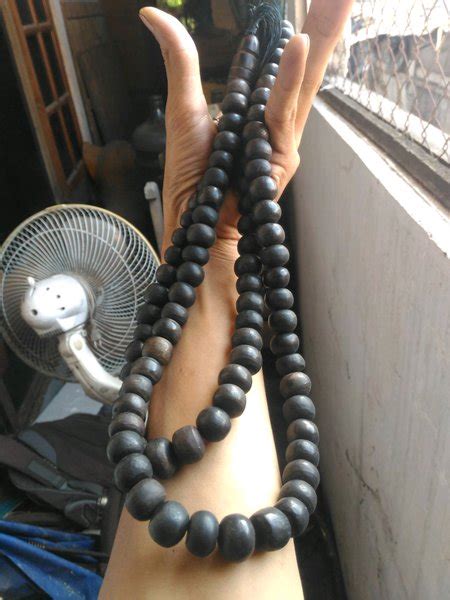 Jual Tasbih Batu Fosil Kelor Jumbo Ready Mani Gajah Gelang Katilayu