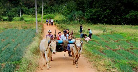 Immersive Sri Lankan Village Culture A Journey Off The Beaten Path