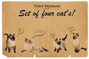 Set of four cats | Animal Illustrations ~ Creative Market