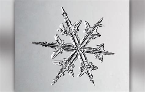 Search for perfect snowflake ends under microscope | RIT