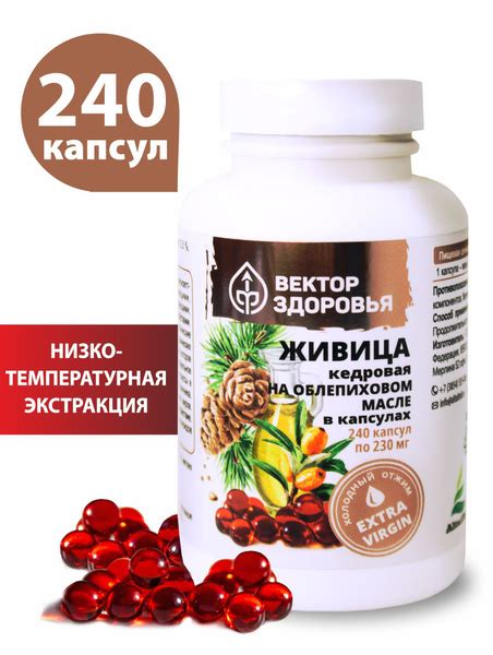 Живица кедровая на облепиховом масле в капсулах - купить с доставкой по ...