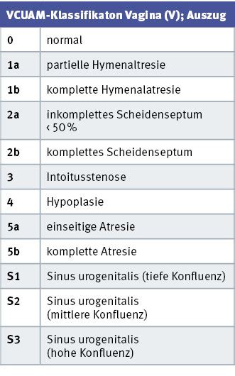Vagina Fehlbildungen Unterschied Hymenalatresie Und Hymen Imperfecta Kinderaerztliche Praxis