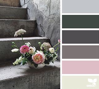 Fresh Hues Design Seeds Bloglovin Seeds Color Palette Colour