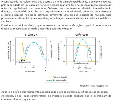 Qual Musculatura é Responsável Pela Sístole