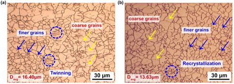 Microstructure Of Az31b Magnesium Alloy At 30 µm Scale A 25 • C And