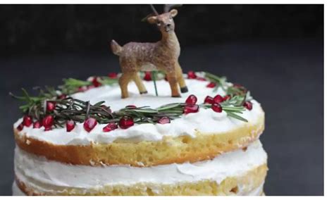 Naked Cake Sobremesa de Natal da Bélgica Receita Dr Oetker