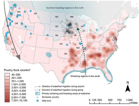 Highly Pathogenic Avian Influenza Virus Midwestern United States