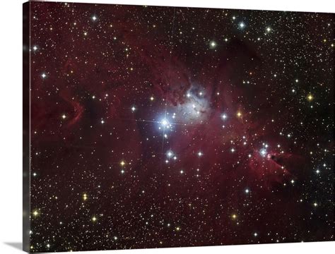 The NGC 2264 Region Showing The Cone Nebula Christmas Tree Cluster