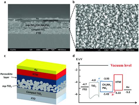 Structure Of The Perovskite Photodetector A Cross Sectional Sem