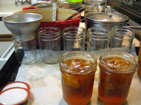 julia ate oven canning