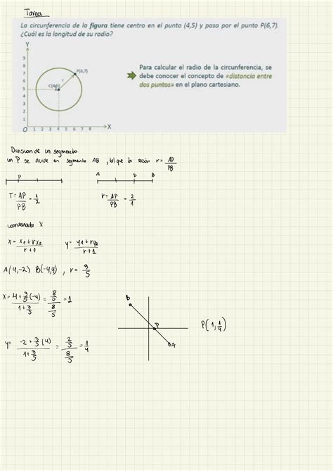 Solution Lgebra I Ejercicios Tipo Prueba Studypool