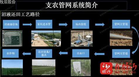 打造乡村振兴齐鲁样板丨郯城县：发展绿色循环经济 实现生态生产共赢养殖农业资源化