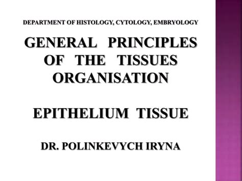 Ppt Epithelial Tissue Powerpoint Presentation Free Download Id3151398