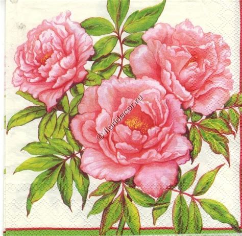 Пачка салфеток 33х33 см. (упаковка - 20 шт.)