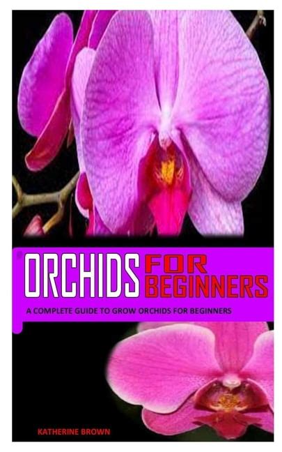 Orchids For Beginners A Complete Guide To Grow Orchids For Beginners