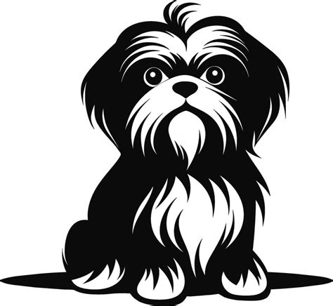 silhouette character shih tzu dog, cute logo. 36117233 Vector Art at Vecteezy