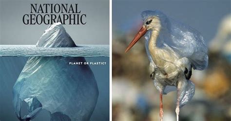 National Geographic Receives Massive Attention With Their New Cover