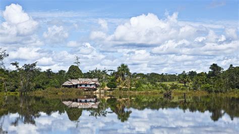 Amazonas In Peru Viertägige Tour Durch Den Dschungel Der Spiegel