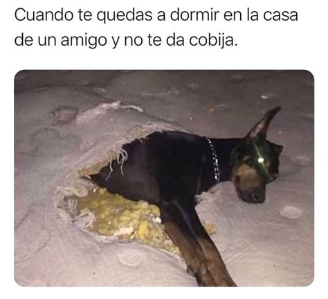 Cuando Te Quedas A Dormir En La Casa De Un Amigo Y No Te Da Cobija Memes