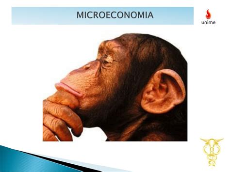 Microeconomia Site Ppt Carregar