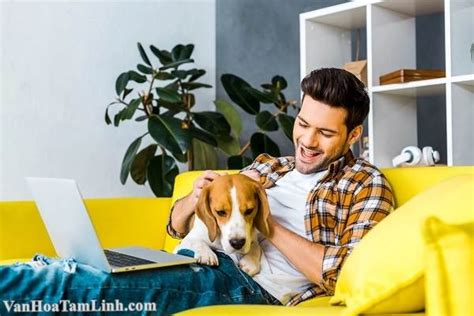 Gay là gì Đồng tính nam có phải là bệnh Cách nhận biết người gay