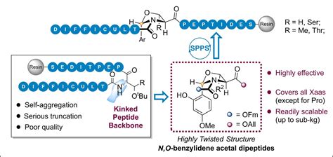 N Obenzylidene Acetal Dipeptides Nbds Enable The Synthesis Of