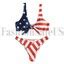 Pcs Women S Sexy American Flag Print Bikini Swimsuit Tie Knot Front Swimwear Us Ebay