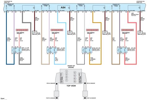 Pinout's on VZ LS1 harness - Standalone wiring! | Just Commodores