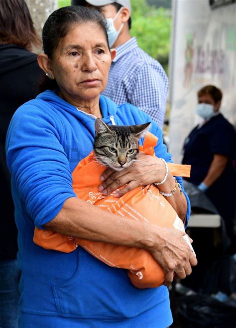 Realiza Ayuntamiento jornada de esterilización canina y felina VentanaVer