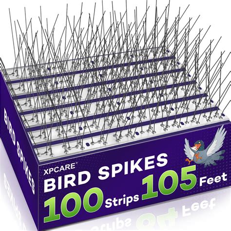 mtg bird card price spike 13