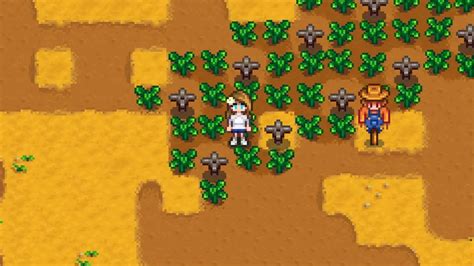 Best Sprinkler Layouts In Stardew Valley Sprinkler Guide Siliconera